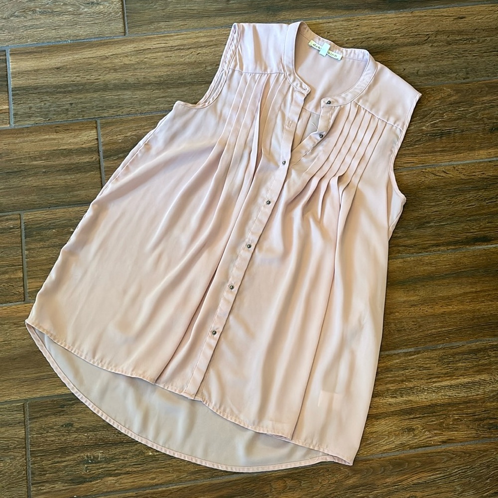 EUC Daniel Rainn Pleated Sleeveless Blouse